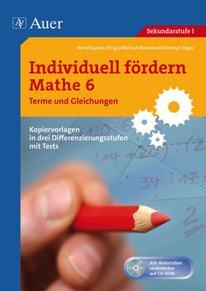 Individuell fördern Mathe 6 Terme und Gleichungen von Ganser,  Bernd