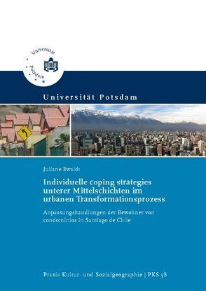 Individuelle coping strategies unterer Mittelschichten im urbanen Transformationsprozess von Ewaldt,  Juliane