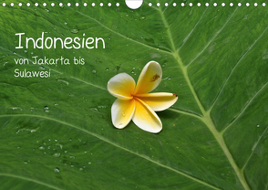 Indonesien von Jakarta bis Sulawesi (Wandkalender 2021 DIN A4 quer) von Hoschisan