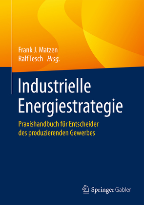 Industrielle Energiestrategie von Matzen,  Frank J., Tesch,  Ralf
