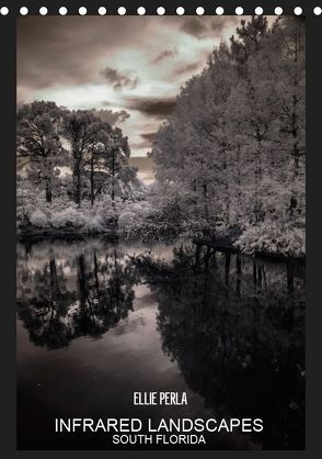 INFRARED LANDSCAPES (Tischkalender 2019 DIN A5 hoch) von PERLA,  ELLIE