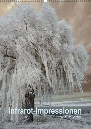 Infrarot-Impressionen by Kurt Lochte (Wandkalender 2019 DIN A2 hoch) von Lochte,  Kurt