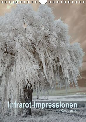 Infrarot-Impressionen by Kurt Lochte (Wandkalender 2019 DIN A4 hoch) von Lochte,  Kurt