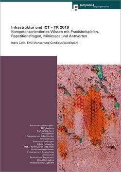 Infrastruktur und ICT – TK 2019 von Celio,  Indro, Manser,  Emil, Waldispühl,  Candidus