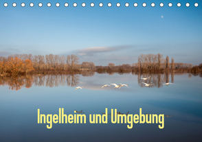 Ingelheim und Umgebung (Tischkalender 2021 DIN A5 quer) von Hess,  Erhard