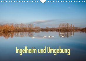 Ingelheim und Umgebung (Wandkalender 2019 DIN A4 quer) von Hess,  Erhard