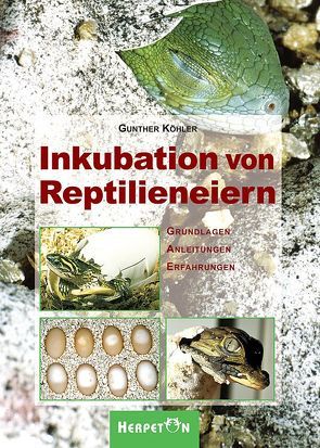 Inkubation von Reptilieneiern von Köhler,  Gunther