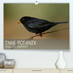 INNE BOTANIK – Vögel im Ruhrpott (Premium, hochwertiger DIN A2 Wandkalender 2023, Kunstdruck in Hochglanz) von Krebs,  Alexander