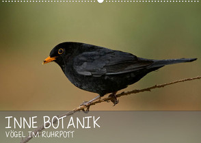 INNE BOTANIK – Vögel im Ruhrpott (Wandkalender 2022 DIN A2 quer) von Krebs,  Alexander
