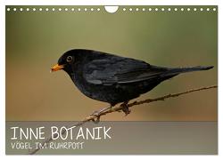 INNE BOTANIK – Vögel im Ruhrpott (Wandkalender 2024 DIN A4 quer), CALVENDO Monatskalender von Krebs,  Alexander