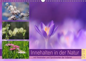 Innehalten in der Natur … mit Weisheiten und Sprichworten der Indianer (Wandkalender 2019 DIN A3 quer) von Michel,  Susan