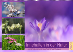 Innehalten in der Natur … mit Weisheiten und Sprichworten der Indianer (Wandkalender 2020 DIN A2 quer) von Michel,  Susan