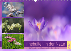 Innehalten in der Natur … mit Weisheiten und Sprichworten der Indianer (Wandkalender 2020 DIN A3 quer) von Michel,  Susan