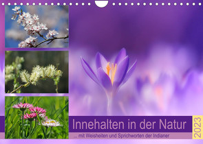 Innehalten in der Natur … mit Weisheiten und Sprichworten der Indianer (Wandkalender 2023 DIN A4 quer) von Michel,  Susan