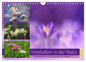 Innehalten in der Natur … mit Weisheiten und Sprichworten der Indianer (Wandkalender 2024 DIN A4 quer), CALVENDO Monatskalender von Michel,  Susan