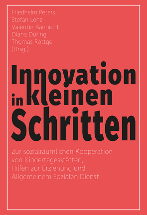 Innovation in kleinen Schritten von Düring,  Diana, Kannicht,  Valentin, Lenz,  Stefan, Peters,  Friedhelm, Röttger,  Thomas