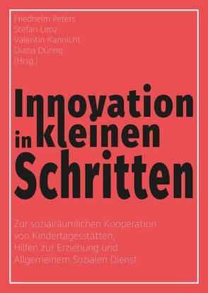 Innovation in kleinen Schritten von Düring,  Diana, Kannicht,  Valentin, Lenz,  Stefan, Peters,  Friedhelm, Röttger,  Thomas