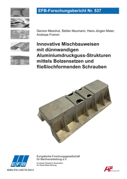 Innovative Mischbauweisen mit dünnwandigen Aluminiumdruckguss-Strukturen mittels Bolzensetzen und fließlochformenden Schrauben von Fromm,  Andreas, Maier,  Hans Jürgen, Meschut,  Gerson, Neumann,  Stefan