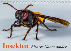 Insekten • Bizarre Naturwunder (Tischkalender 2023 DIN A5 quer) von Stanzer,  Elisabeth