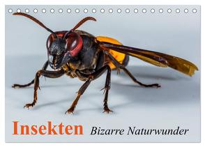 Insekten • Bizarre Naturwunder (Tischkalender 2024 DIN A5 quer), CALVENDO Monatskalender von Stanzer,  Elisabeth