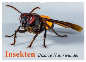 Insekten • Bizarre Naturwunder (Wandkalender 2024 DIN A2 quer), CALVENDO Monatskalender von Stanzer,  Elisabeth
