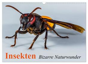 Insekten • Bizarre Naturwunder (Wandkalender 2024 DIN A3 quer), CALVENDO Monatskalender von Stanzer,  Elisabeth