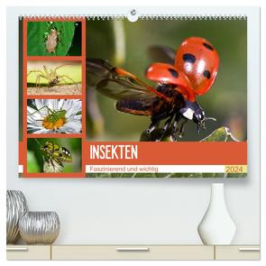 Insekten. Faszinierend und wichtig (hochwertiger Premium Wandkalender 2024 DIN A2 quer), Kunstdruck in Hochglanz von Stanzer,  Elisabeth