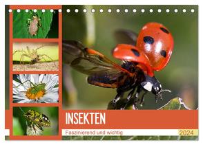 Insekten. Faszinierend und wichtig (Tischkalender 2024 DIN A5 quer), CALVENDO Monatskalender von Stanzer,  Elisabeth