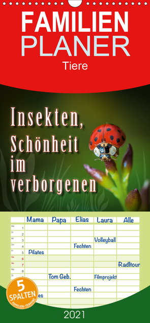Insekten, Schönheit im verborgenen – Familienplaner hoch (Wandkalender 2021 , 21 cm x 45 cm, hoch) von Gödecke,  Dieter