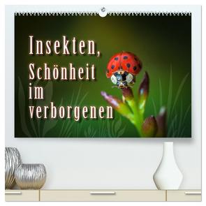 Insekten, Schönheit im verborgenen (hochwertiger Premium Wandkalender 2024 DIN A2 quer), Kunstdruck in Hochglanz von Gödecke,  Dieter