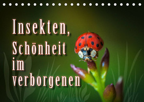 Insekten, Schönheit im verborgenen (Tischkalender 2023 DIN A5 quer) von Gödecke,  Dieter