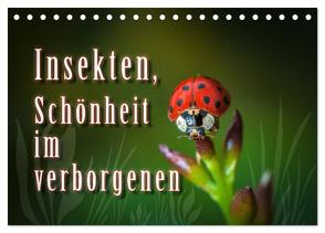 Insekten, Schönheit im verborgenen (Tischkalender 2024 DIN A5 quer), CALVENDO Monatskalender von Gödecke,  Dieter