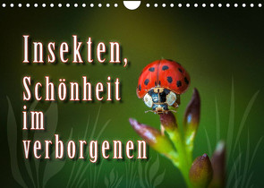 Insekten, Schönheit im verborgenen (Wandkalender 2023 DIN A4 quer) von Gödecke,  Dieter