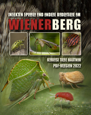 Insekten Spinnen und andere Bodentiere am Wienerberg von Merk,  Rainer Clemens