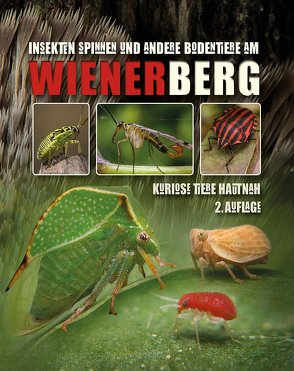 Insekten Spinnen und andere Bodentiere am Wienerberg von Merk,  Rainer Clemens