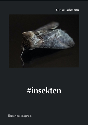 #insekten von Ulrike,  Lohmann