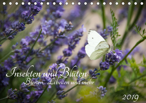 Insekten und Blüten – Bienen, Libellen und mehr (Tischkalender 2019 DIN A5 quer) von Wilms,  Barbara