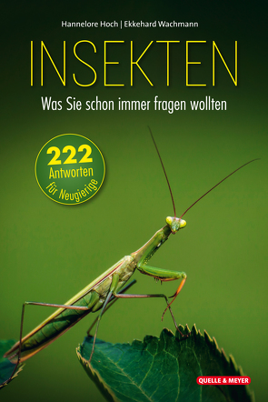 Insekten – Was Sie schon immer fragen wollten von Hoch,  Hannelore, Wachmann,  Ekkehard