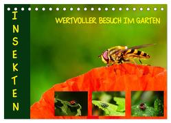 Insekten – wertvolle Gäste im Garten (Tischkalender 2024 DIN A5 quer), CALVENDO Monatskalender von Schmidt,  Brinja