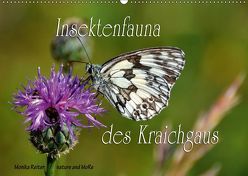 Insektenfauna des Kraichgaus (Wandkalender 2019 DIN A2 quer) von Reiter,  Monika