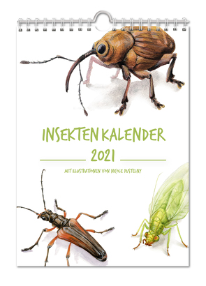 Insektenkalender 2021 von Pustelny,  Nicole