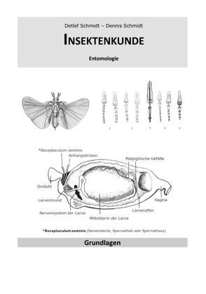 Insektenkunde von Schmidt,  Detlef