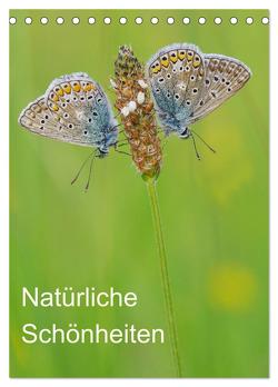 Insekten,Schönheiten der Natur (Tischkalender 2024 DIN A5 hoch), CALVENDO Monatskalender von Blum,  Jürgen