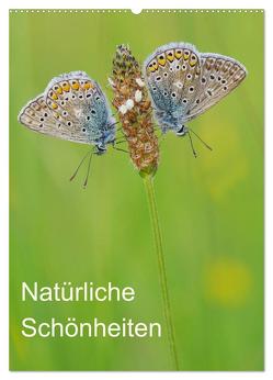 Insekten,Schönheiten der Natur (Wandkalender 2024 DIN A2 hoch), CALVENDO Monatskalender von Blum,  Jürgen