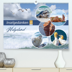 Insel Gedanken (Premium, hochwertiger DIN A2 Wandkalender 2024, Kunstdruck in Hochglanz) von Ziemer,  Astrid