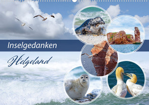 Insel Gedanken (Wandkalender 2023 DIN A2 quer) von Ziemer,  Astrid