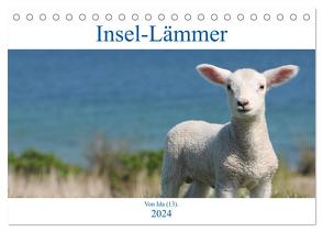 Insel-Lämmer (Tischkalender 2024 DIN A5 quer), CALVENDO Monatskalender von Kaminski,  Ida