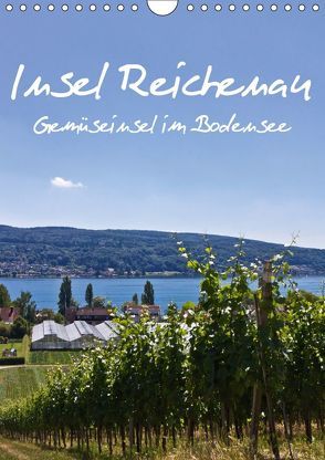 Insel Reichenau – Gemüseinsel im Bodensee (Wandkalender 2019 DIN A4 hoch) von Ergler,  Anja