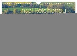 Insel Reichenau – Größte Insel im Bodensee (Wandkalender 2024 DIN A4 quer), CALVENDO Monatskalender von Di Domenico,  Giuseppe