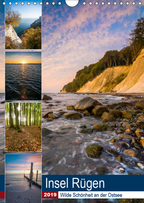 Insel Rügen – Wilde Schönheit an der Ostsee (Wandkalender 2019 DIN A4 hoch) von Wasilewski,  Martin